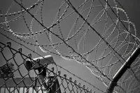 Польские силовики на границе с Белоруссией применили спецсредства с химикатами