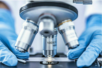 Регионам могут дать право финансировать федеральные вузы