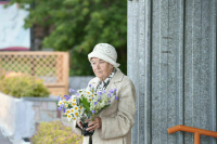 Росстат сможет получать данные Пенсионного фонда