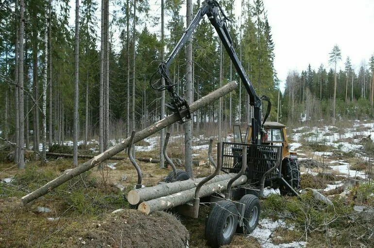 Минприроды определилось, за какую технику в лесу будут штрафовать