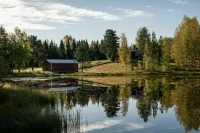 В Минприроды рассказали о согласовании строительства в поселениях на природных территориях