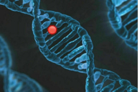 В России может появиться институт генетических омбудсменов