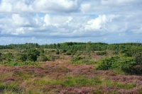 Бесплатные участки для астраханцев становятся доступнее