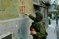 Страны СНГ проведут совместные работы по разминированию