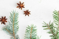 Врач дал советы по встрече Нового года в условиях пандемии