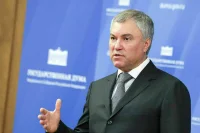 Володин предложил открыть волонтёрам доступ в дома престарелых после сдачи ПЦР-теста