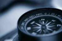 Поисковые отряды «ЛизаАлерт» объединяют уже более 30 тысяч человек