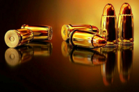 МВД хочет получить право исследовать патроны к гражданскому оружию