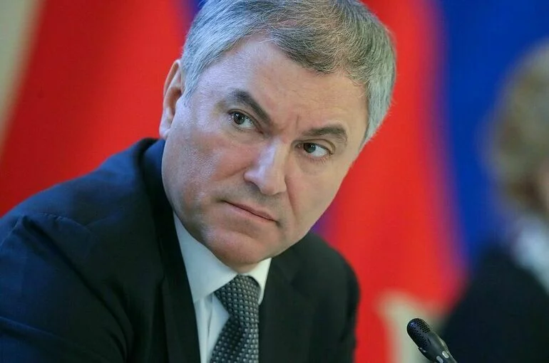 Володин пообещал рассказать представителям кабмина, что беспокоит россиян в вопросе QR-кодов