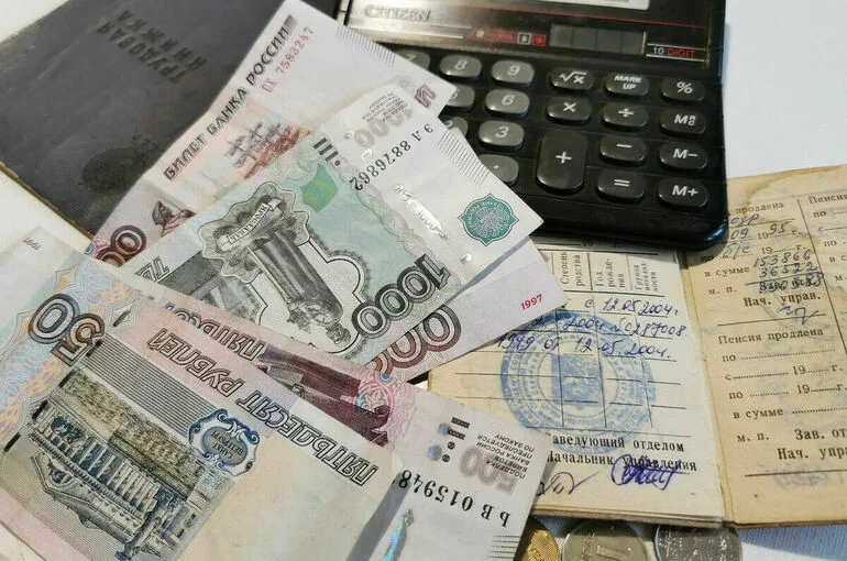 Яровая предложила создать рабочую группу по аудиту пересекающихся соцвыплат