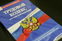 Минтруд предложил субсидировать найм молодых экс-заключённых и людей без профобразования