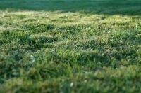 В Совфеде призвали усилить контроль при изменении статуса земельных участков