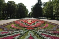 На Ставрополье появился закон о патриотическом воспитании