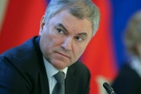 Володину представлен промежуточный доклад по ситуации с отклонённым законом