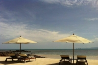 Особенности отмены туров в 2022 году установит Правительство