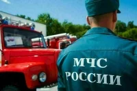 Сотрудникам МЧС предлагают выдавать оружие при угрозе жизни