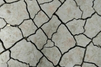 В России в 2021 году зафиксировали более 20 землетрясений