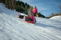 В ГИБДД призвали усилить внимание за безопасностью детей на дорогах в новогодние каникулы