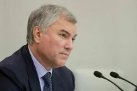 Володин поблагодарил подростков, спасших младенца под Новосибирском    