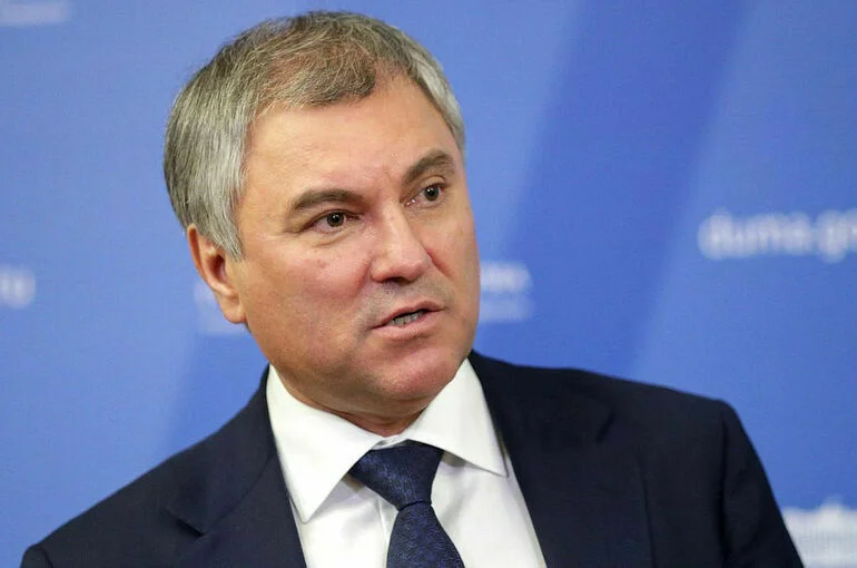 Володин: Проект о пожизненном заключении педофилов может быть принят до 1 февраля