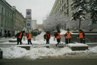 На &laquo;Госуслугах&raquo; заработал сервис отправки уведомлений по трудовым мигрантам 