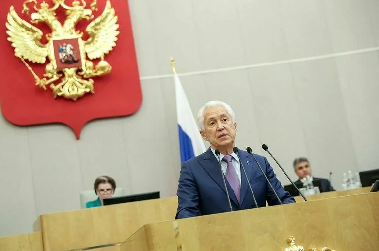 Госдума планирует рассмотреть законопроект о маткапитале для отцов-одиночек 18 января  