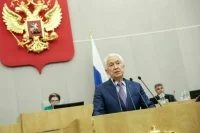 Госдума планирует рассмотреть законопроект о маткапитале для отцов-одиночек 18 января  