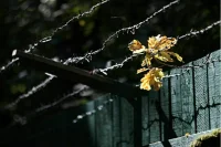 Педофилов-рецидивистов хотят пожизненно лишать свободы