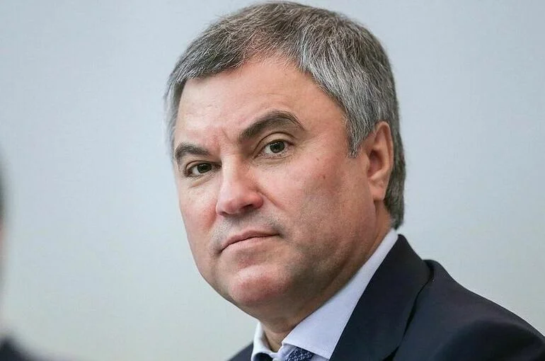 Володин предложил по-новому оценивать работу думских комитетов 