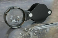 Госдума вводит онлайн-процедуру оформления заключений на вывоз ценностей