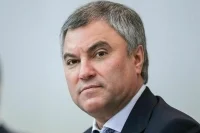 Володин предложил по-новому оценивать работу думских комитетов 