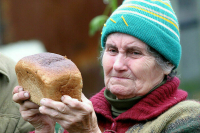 Профильный Комитет Госдумы обсудит проект о выявлении граждан, нуждающихся в соцподдержке