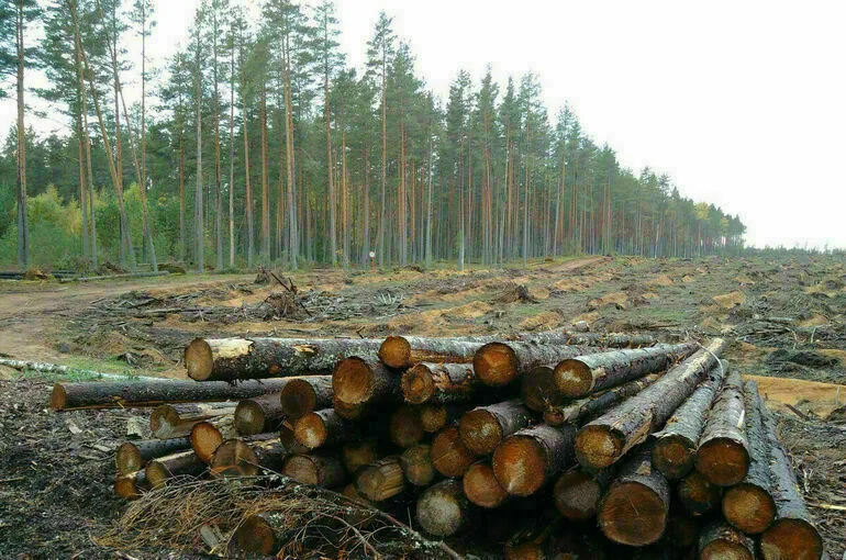 Евросоюз начал спор в ВТО против экспортных ограничений России