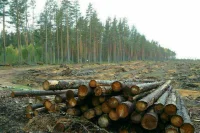 Евросоюз начал спор в ВТО против экспортных ограничений России