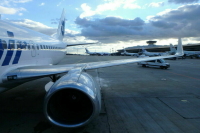 Авиадебоширов утихомирят пластиковыми наручниками и нейлоновыми ремнями