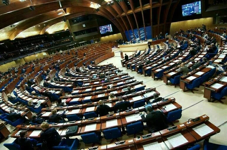 Новым председателем ПАСЕ избран нидерландский сенатор Тини Кокс