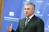Володин предложил обратиться в Генпрокуратуру по ситуации с бездомными животными