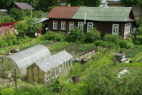 В Бурятии хотят увеличить государственные субсидии на строительство теплиц