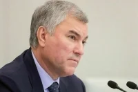 Володин назвал самые важные законы, принятые в январе