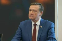 Рябухин поддержал идею выплатить россиянам неиспользованные остатки маткапитала