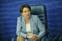 Депутат Разворотнева заявила о нехватке дворников в Москве