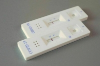 У трех хоккеисток российской сборной обнаружен коронавирус