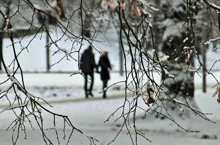 Февраль может стать самым теплым в XXI веке, считает синоптик