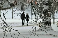 Февраль может стать самым теплым в XXI веке, считает синоптик