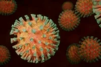 СМИ: в Гонконге сложилась критическая ситуация с коронавирусом