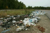 Платить за мусор хотят заставить бизнес, а не людей