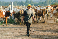 Индивидуальные предприниматели-экспортеры агропродукции получат льготы