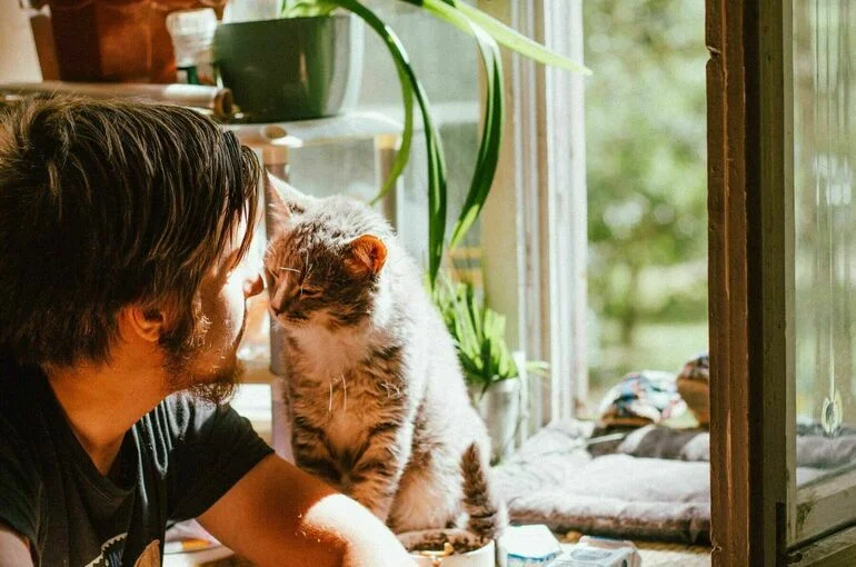 Куклачёв​ рассказал, как обеспечить кошке здоровье и долголетие