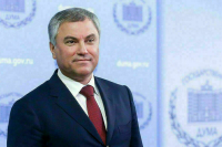Володин направил в профильные комитеты внесенные президентом договоры о взаимопомощи с ЛНР и ДНР