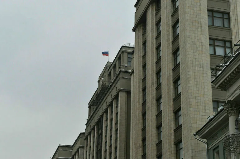 Госдума и Совет Федерации ратифицировали договоры о дружбе с ДНР и ЛНР